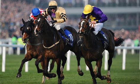 Cheltenham Festival 2017: Your essential betting guide.